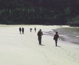 Melide Beach Photo: E. Neff